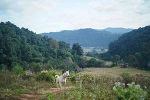 BIB: 
                            <button type="button" onclick="openModal(16011192)" class="btn btn-primary btn-sm float-right btn-popup" data-toggle="modal" data-target=".modal-high-quality">
                        <i class="fas fa-shopping-cart"></i> Add to Cart
                    </button>
                                            <button type="button" onclick="isThisMe(16011192, true)" class="btn btn-success btn-sm float-right btn-popup btn-isme hidden" data-toggle="tooltip" data-placement="bottom" title="นี่คือรูปของคุณใช่ไหม คลิกที่นี่เพื่อเอาเข้าอัลบั้ม">
                        <i class="fas fa-plus"></i> Add to album
                    </button>
                    <button type="button" onclick="isThisMe(16011192, false)" class="btn btn-warning btn-sm float-right btn-popup btn-isnotme hidden">
                        <i class="fas fa-ban"></i> Remove from album
                    </button>